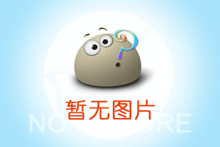 成華電動葫蘆在鋼結(jié)構(gòu)安裝中的運(yùn)用